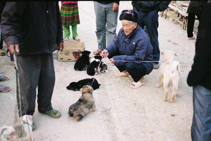 Nang dat vang Ha Giang nhung ngay dau dong-Hinh-12