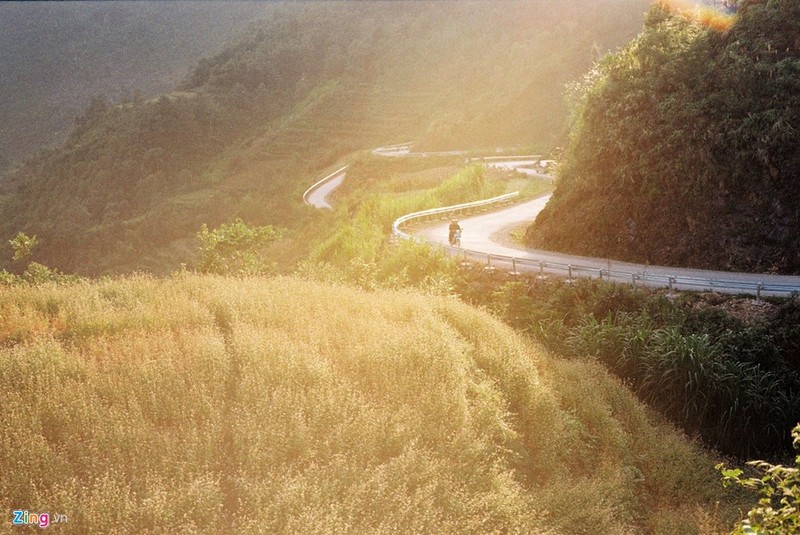 Nang dat vang Ha Giang nhung ngay dau dong-Hinh-2