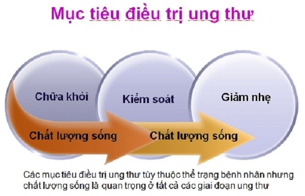 Nguoi Viet bao ve minh truoc benh ung thu the nao?