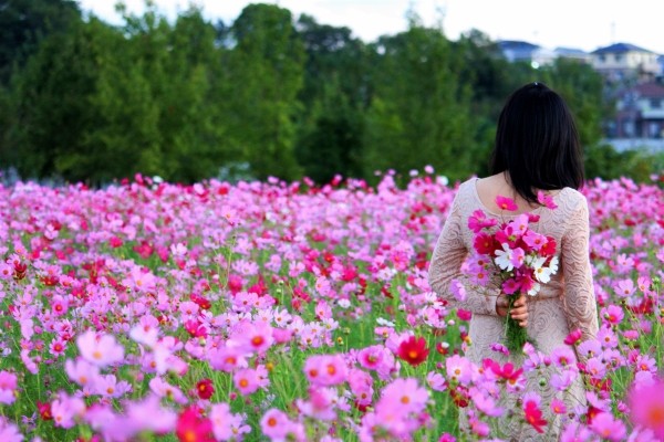 Nhung vuon hoa dep nhu tranh hot bac o Ha Noi-Hinh-4