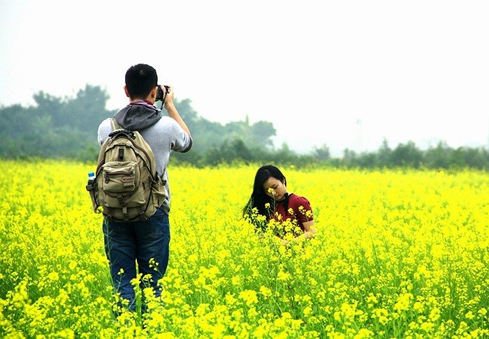 Nhung vuon hoa dep nhu tranh hot bac o Ha Noi-Hinh-8
