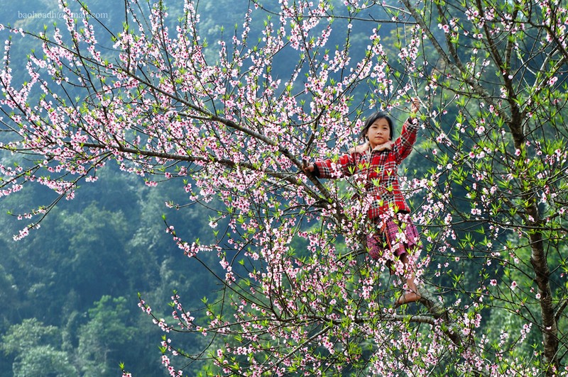 Nhung thien duong hoa dep man nhan hai bon tien-Hinh-8