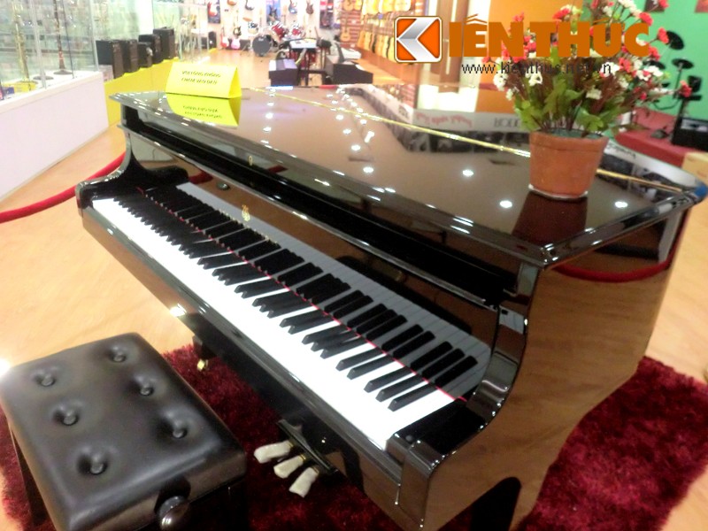 Xon xao dan piano gia soc 2 ty dong o Ha Noi-Hinh-4