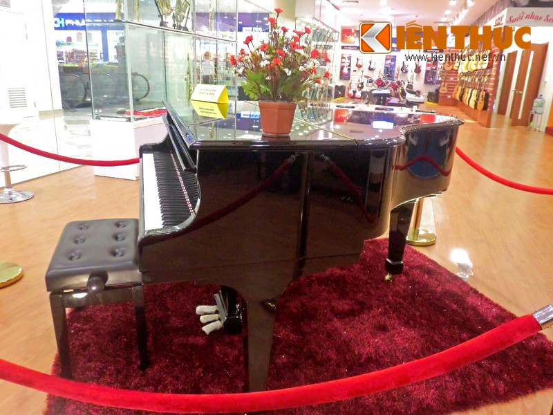 Xon xao dan piano gia soc 2 ty dong o Ha Noi-Hinh-5