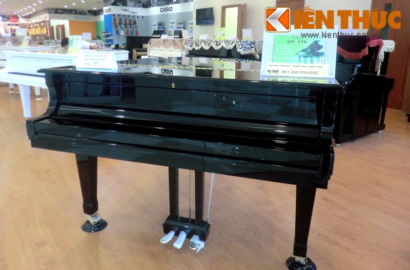 Xon xao dan piano gia soc 2 ty dong o Ha Noi-Hinh-8