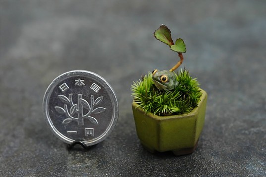 Man nhan loat bonsai mini nam gon trong long ban tay-Hinh-11