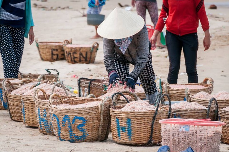 Nhung tiet lo soc ve thuoc nhuom do ruoc o Phu Yen-Hinh-9