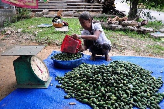 Can canh loai chanh day lai thuong Trung Quoc dang mua o at-Hinh-9