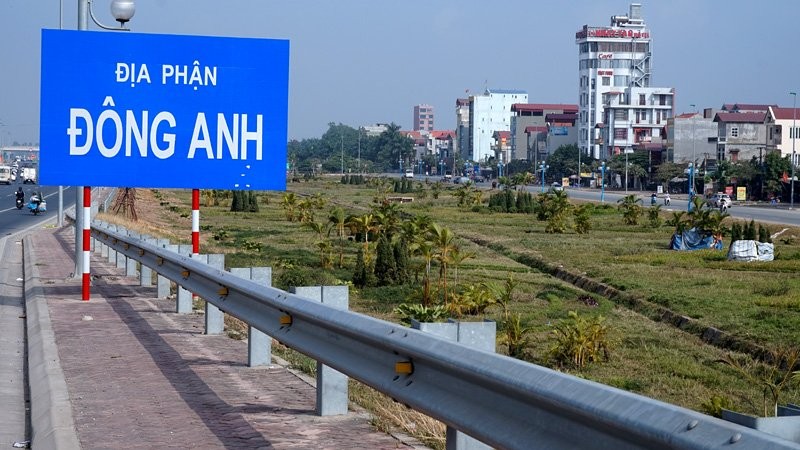 Vuon hoa giua Ha Noi thanh noi chan bo, tha ga