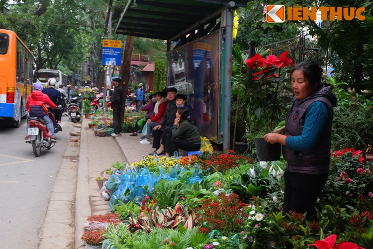 Anh: Sac hoa ruc ro tai pho hoa noi tieng nhat Ha Thanh-Hinh-18