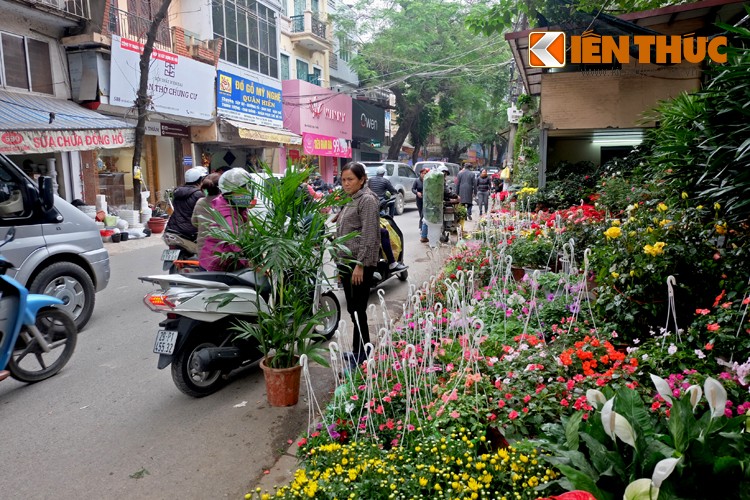 Anh: Sac hoa ruc ro tai pho hoa noi tieng nhat Ha Thanh-Hinh-5