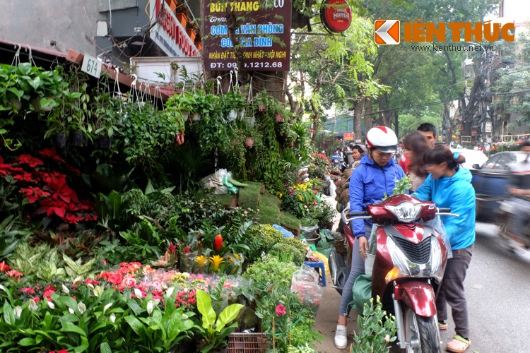 Anh: Sac hoa ruc ro tai pho hoa noi tieng nhat Ha Thanh-Hinh-6