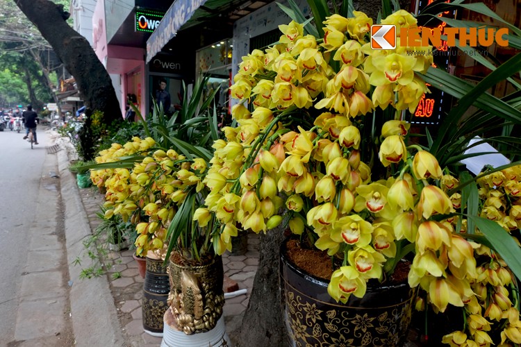 Anh: Sac hoa ruc ro tai pho hoa noi tieng nhat Ha Thanh-Hinh-9