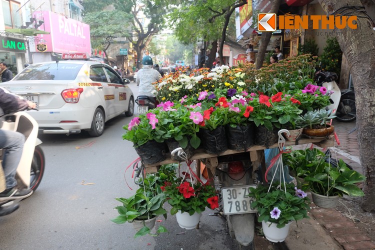 Anh: Tet ve tren nhung xe cho dao rong tren pho Ha Noi-Hinh-17