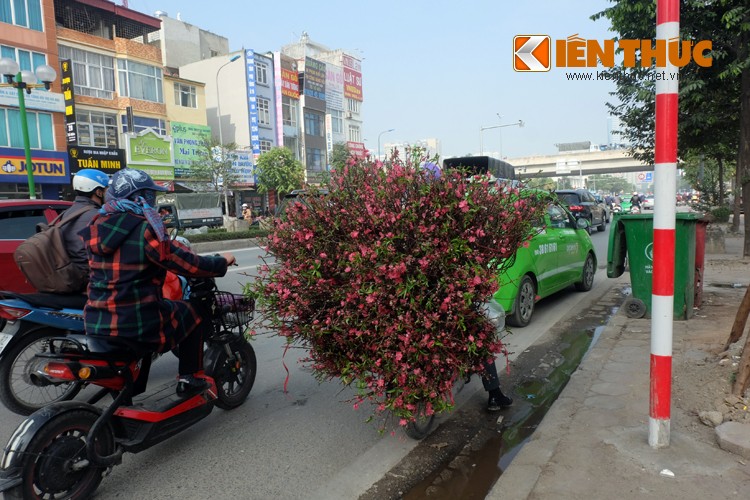 Anh: Tet ve tren nhung xe cho dao rong tren pho Ha Noi-Hinh-4