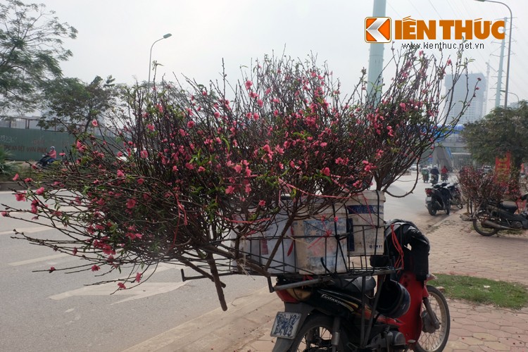 Anh: Tet ve tren nhung xe cho dao rong tren pho Ha Noi-Hinh-5