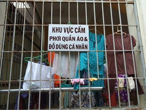 Het hon voi loat bien cam doc la nhat Viet Nam-Hinh-13