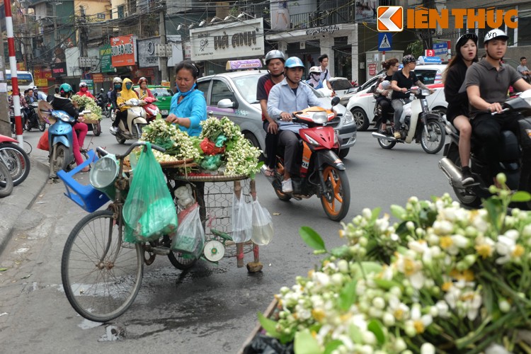 Anh: Nong nan hoa buoi ngat huong pho Ha Noi-Hinh-12