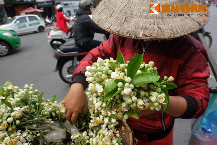 Anh: Nong nan hoa buoi ngat huong pho Ha Noi-Hinh-2