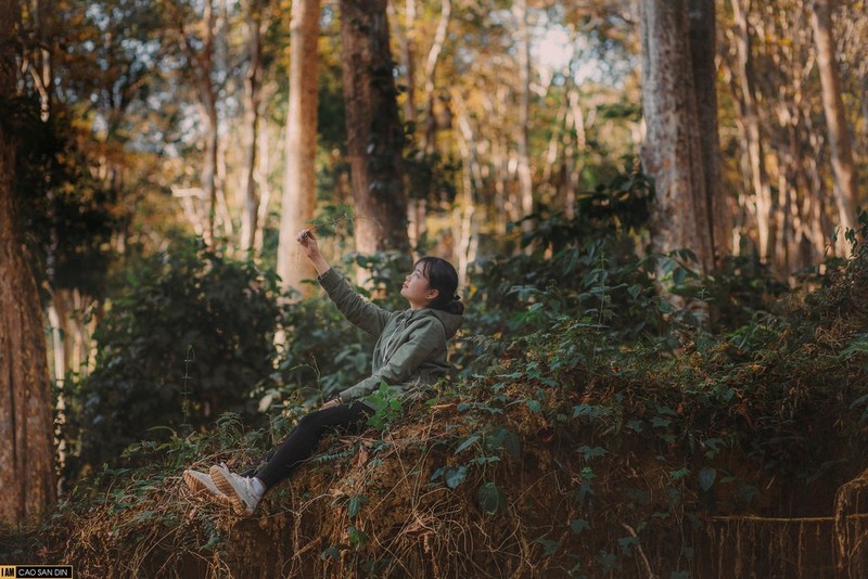 Chum anh: San may tren cong troi “Sa Pa xu Nghe“-Hinh-9