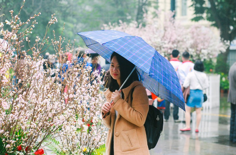 Nguoi dan doi mua di xem Le hoi hoa anh dao Nhat Ban-Hinh-2