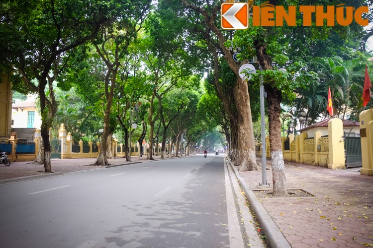 Anh: Nhung con duong co via he dep nhat nhi Ha Noi-Hinh-5