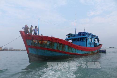 Tau la no sung vao tau ca Viet Nam, 1 ngu dan thiet mang