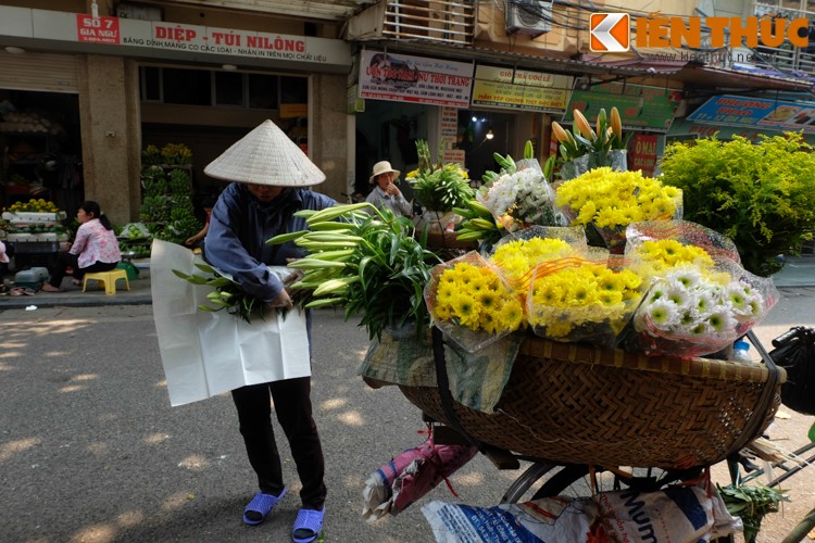 Anh: Hoa loa ken tinh khoi xuong pho Ha Noi-Hinh-13