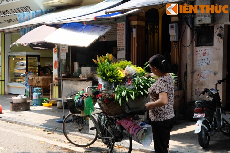 Anh: Hoa loa ken tinh khoi xuong pho Ha Noi-Hinh-6