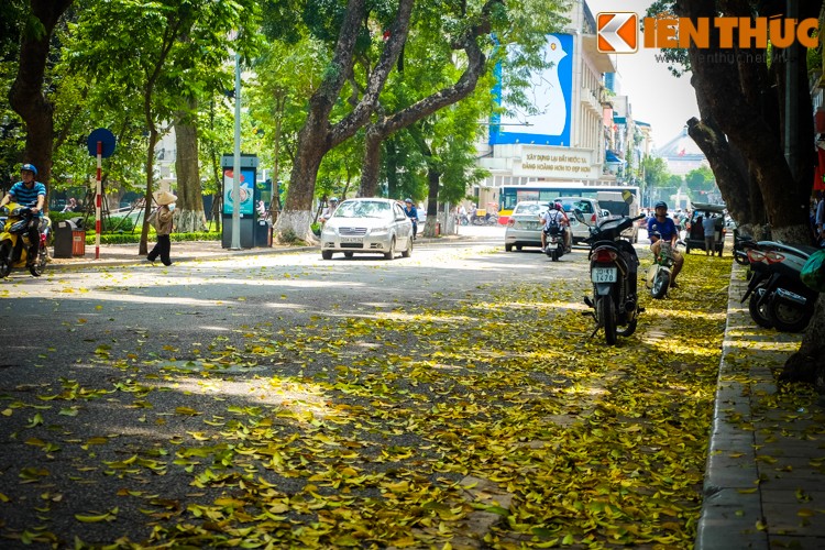 Anh: Lang man nhung con duong trai day la vang o Ha Noi-Hinh-14