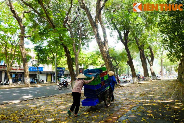 Anh: Lang man nhung con duong trai day la vang o Ha Noi-Hinh-15