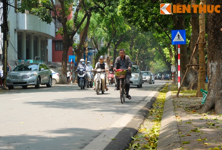 Anh: Lang man nhung con duong trai day la vang o Ha Noi-Hinh-19