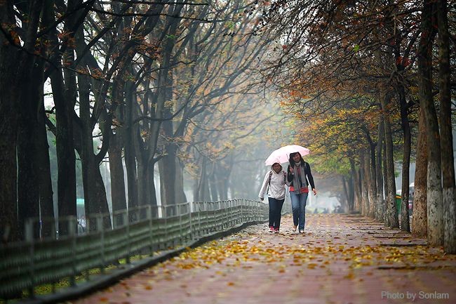 Thoi tiet hom nay: Ha Noi co mua rao va dong