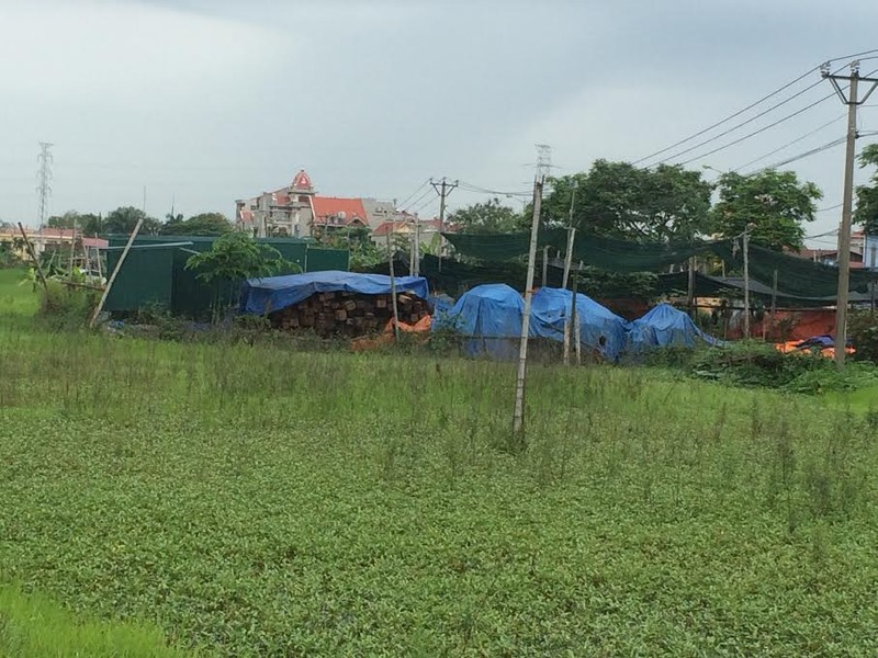 O at xay nha xuong trai phep tren dat nong nghiep o Dong Anh-Hinh-3