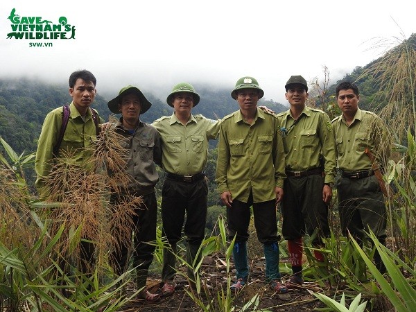 Xem kiem lam treo deo, loi suoi bao ve “bau vat” quoc gia-Hinh-6