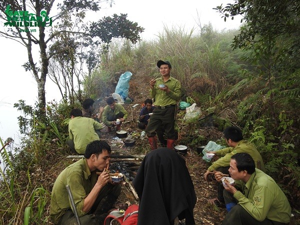 Xem kiem lam treo deo, loi suoi bao ve “bau vat” quoc gia-Hinh-7