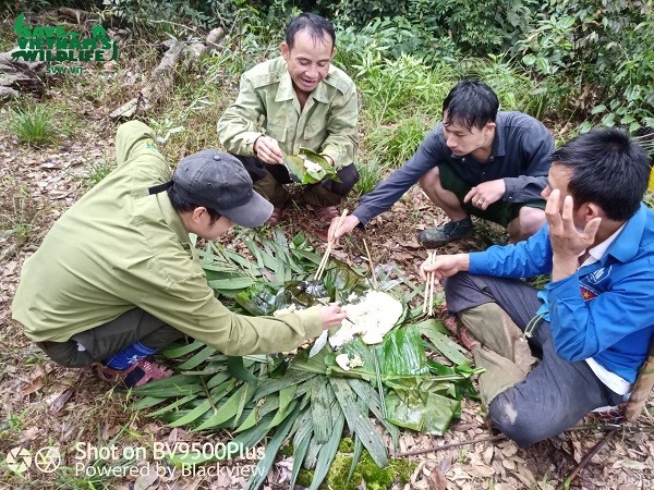 Xem kiem lam treo deo, loi suoi bao ve “bau vat” quoc gia-Hinh-8