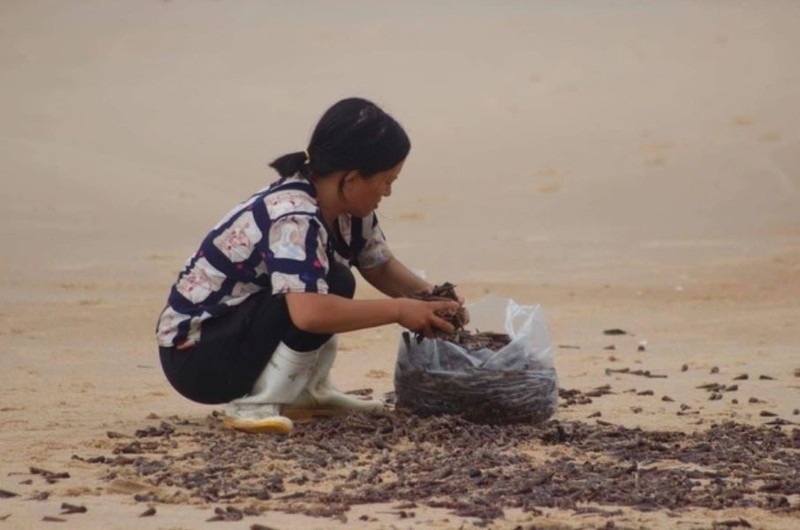 Oc dat kin bien Quang Binh sau bao: Hien tuong la, oc khong la-Hinh-9