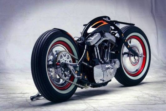 Mo to Harley Davidson Sportster do hang khung, doc nhat the gioi-Hinh-4