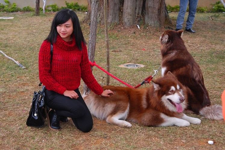 Thu choi cho canh khung 60 kg cua gioi tre Da Lat hinh anh