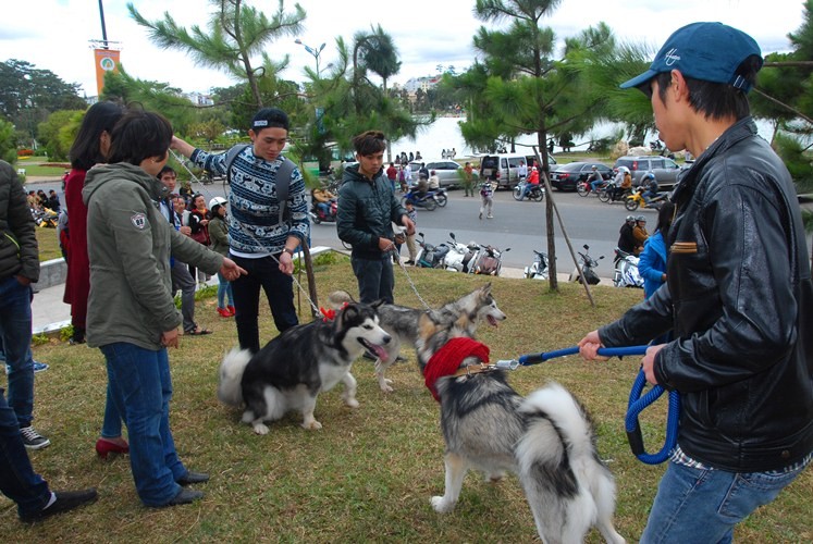 Thu choi cho canh khung 60 kg cua gioi tre Da Lat hinh anh 8