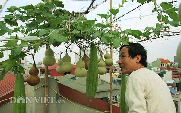 Nhung trang trai ky cuc nhat Ha Noi hinh anh