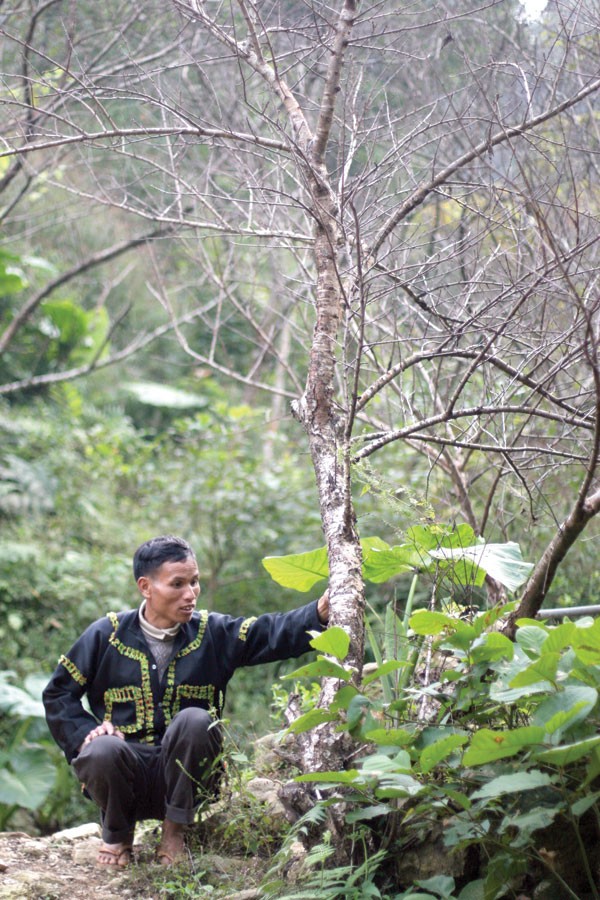 San trui dao Tien choi Tet muon