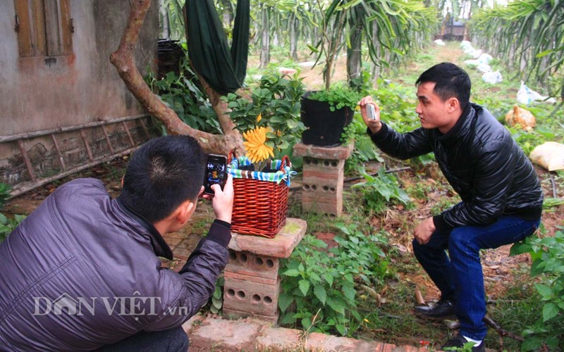 Phat thu bonsai dang cuc la gia hon chuc trieu-Hinh-9