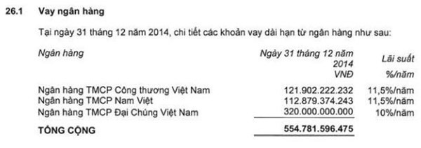 Lo so no khung cua dai gia Dang Thanh Tam-Hinh-3