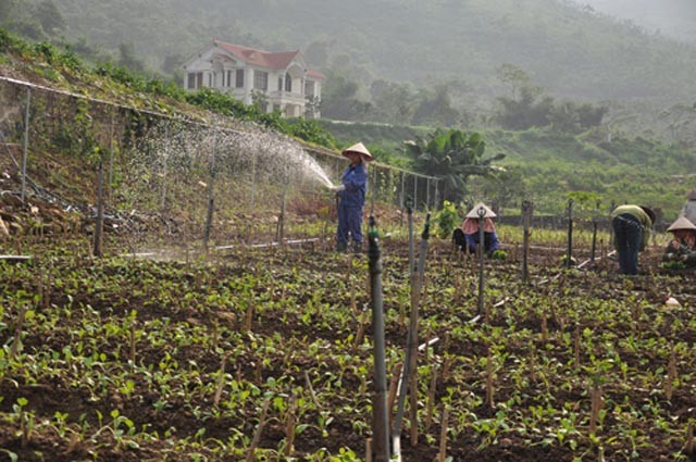 Trang trai nuoi 12.000 lon rung ky di, du ton o Viet Nam-Hinh-9