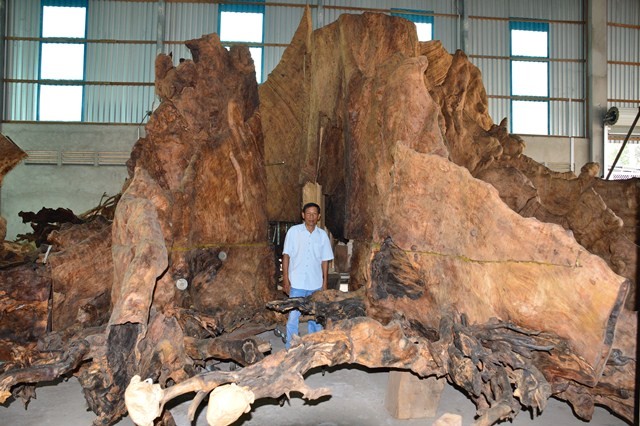 Choang vang "bau vat" gia sieu khung tu than cay kho