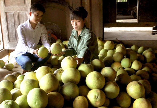 Ca lang "treo qua vang" luc liu, ai thay cung phat hon-Hinh-6