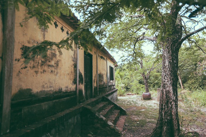 Ngoi nha hon tram cot cua dai gia xua o mien Tay-Hinh-14