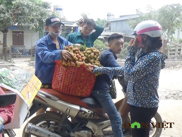 Gia vai chin som 16.000 dong/kg, qua “chay” tren cay vi e am-Hinh-3